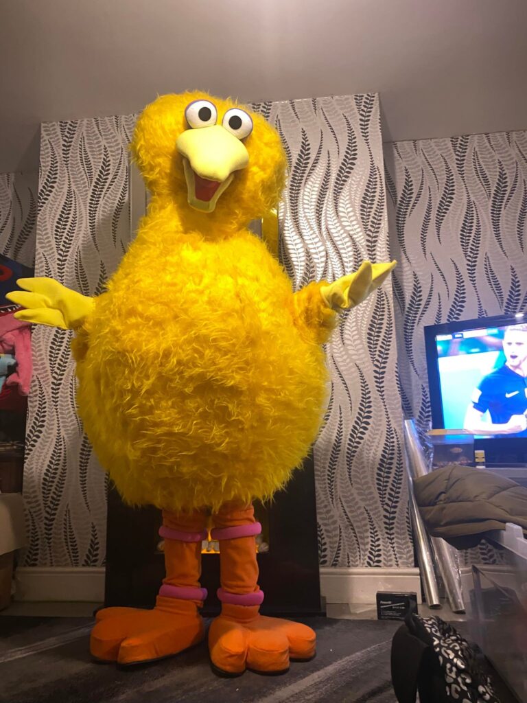 Big Bird Event Mascots Costume Hire